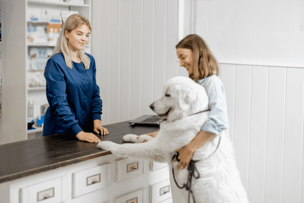 Veterinary Payment Solutions