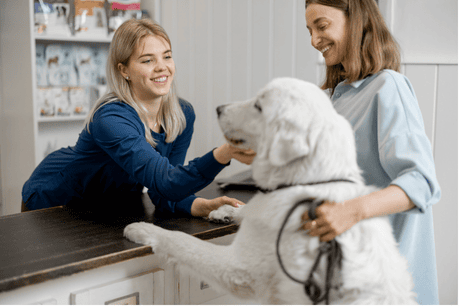 DSO Credit card processing
